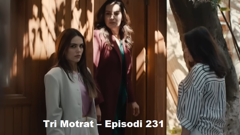 Tri Motrat – Episodi 231